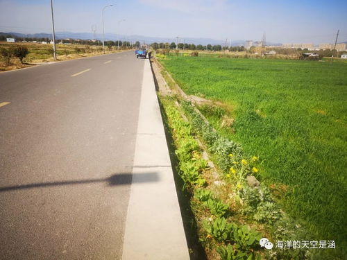 新農(nóng)村道路的交通設(shè)施